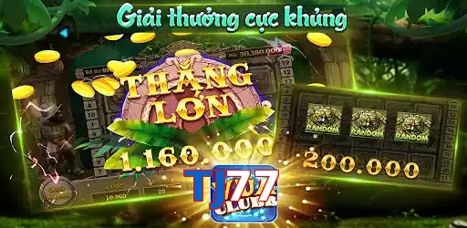 TJ77